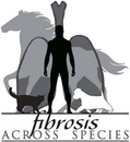 Actress Anjelica Huston's Words Greet Scientists As They Ponder Deadly Lung Disease Affecting Horses, Dogs, Cats, Humans